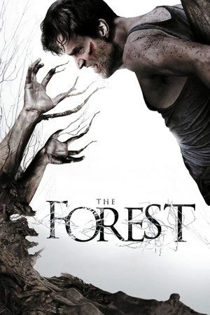Regarder The Forest en streaming complet