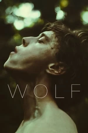 Regarder Wolf en streaming complet