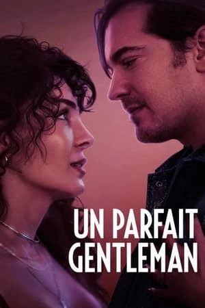 Regarder Un parfait gentleman en streaming complet