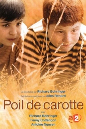 Regarder Poil de carotte en streaming complet
