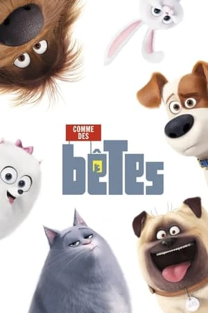 Regarder Comme des bêtes en streaming complet