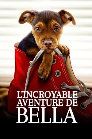  L'Incroyable Aventure de Bella affiche 