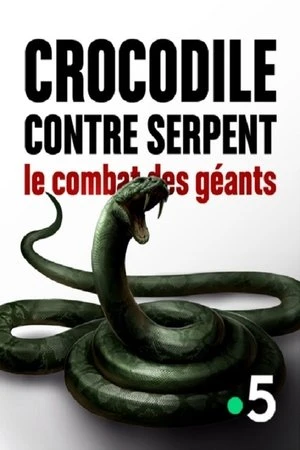 Regarder Crocodile contre serpent Le combat des géants en streaming complet