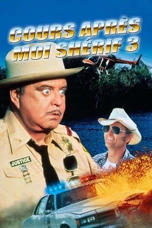 Regarder Cours après moi Shérif 3 en streaming complet
