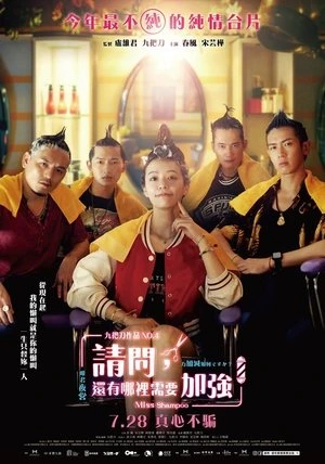 Regarder Miss Shampoo en streaming complet