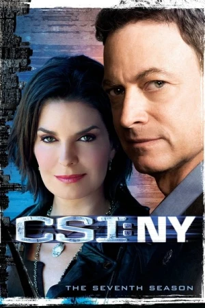 Regarder Les Experts : Manhattan - Saison 7 en streaming complet