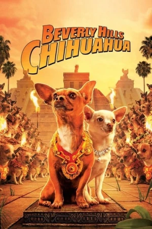  Le Chihuahua de Beverly Hills affiche 