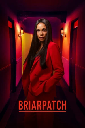 Regarder Briarpatch - Saison 1 en streaming complet