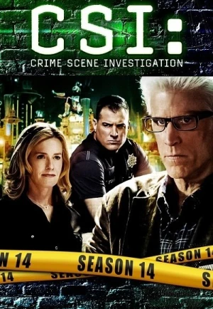 Regarder Les Experts - Saison 14 en streaming complet