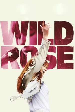  Wild Rose affiche 