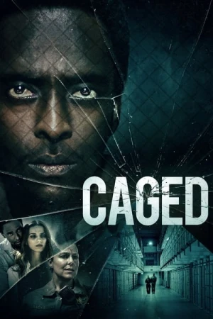 Regarder En cage en streaming complet