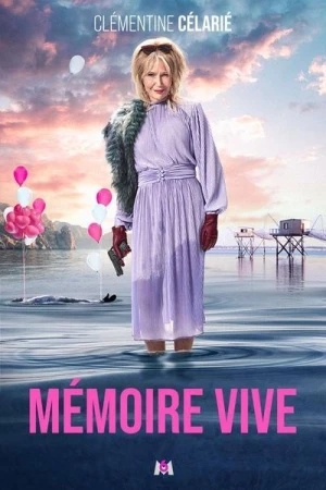  Mémoire vive - Saison 1 affiche 