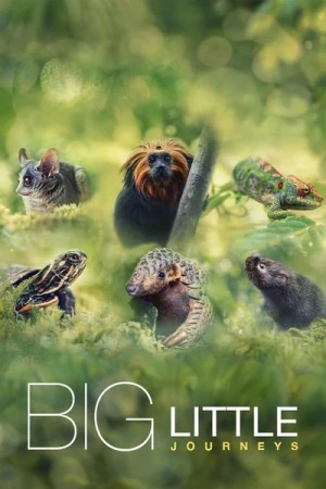  Big Little Journeys - Saison 1 affiche 