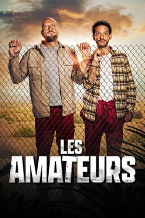  Les Amateurs - Saison 2 affiche 