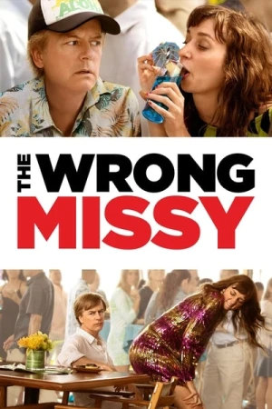  The Wrong Missy affiche 