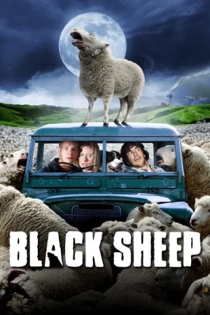  Black Sheep affiche 