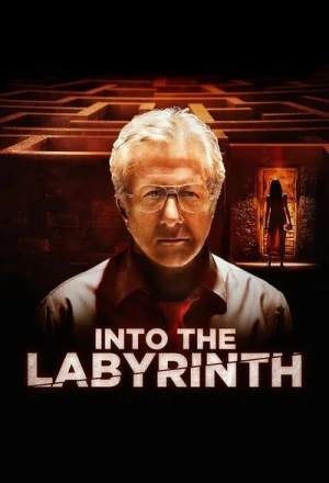 Regarder L'Homme du labyrinthe en streaming complet