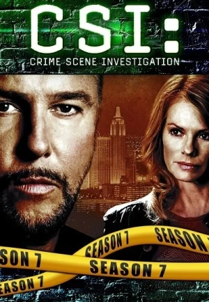 Regarder Les Experts - Saison 7 en streaming complet