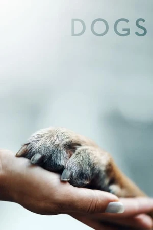 Regarder Nos Amis les Chiens - Saison 1 en streaming complet
