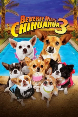 Regarder Le Chihuahua de Beverly Hills 3 : Viva la Fiesta ! en streaming complet