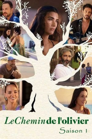 Regarder Le Chemin de l'olivier - Saison 1 en streaming complet