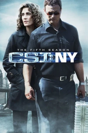 Regarder Les Experts : Manhattan - Saison 5 en streaming complet
