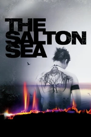 Regarder Salton Sea en streaming complet