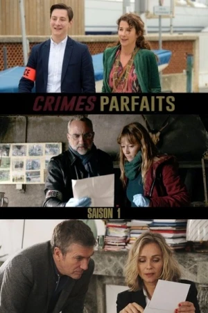  Crimes parfaits - Saison 1 affiche 