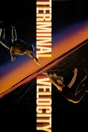 Terminal velocity