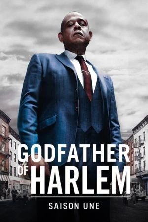 Regarder Godfather of Harlem - Saison 1 en streaming complet