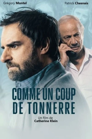 Regarder Comme un coup de tonnerre en streaming complet