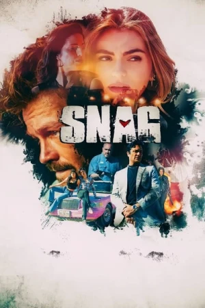  Snag affiche 