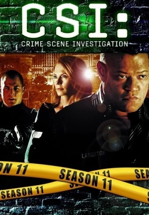 Regarder Les Experts - Saison 11 en streaming complet