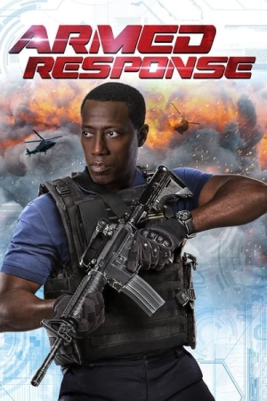 Regarder Riposte armée en streaming complet