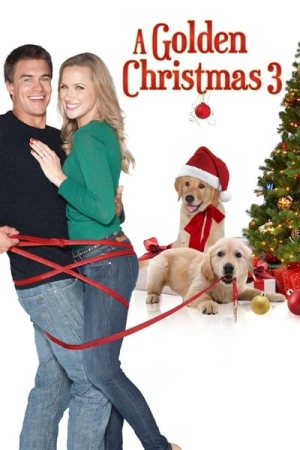 Regarder De l'amour pour Noël en streaming complet