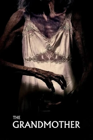 Regarder Abuela en streaming complet