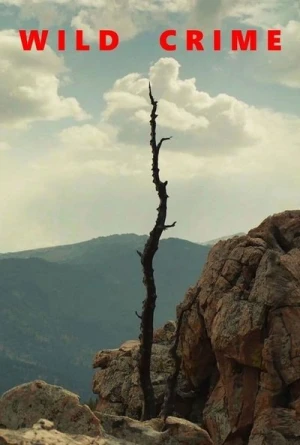 Regarder Wild Crime - Saison 1 en streaming complet