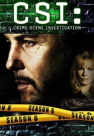 Regarder Les Experts - Saison 8 en streaming complet