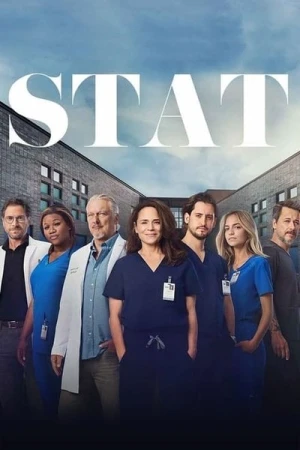  STAT - Saison 2 (Partie 2) affiche 