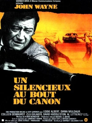 Regarder Un silencieux au bout du canon en streaming complet