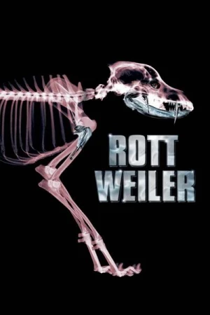 Regarder Rottweiler en streaming complet