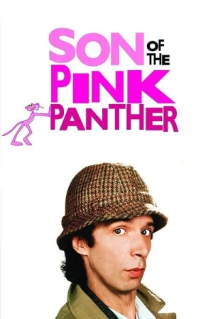 Regarder Le Fils de la Panthère rose en streaming complet