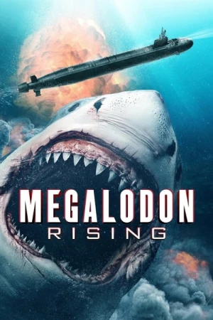  Meg Rising affiche 