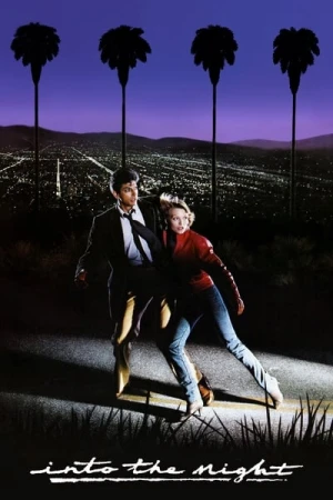  Série noire pour une nuit blanche affiche 