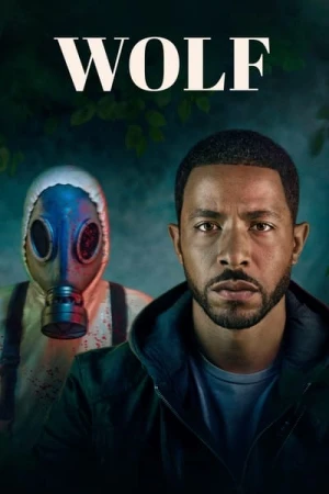  Wolf - Saison 1 affiche 