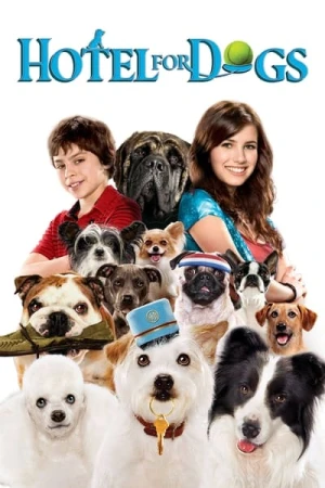 Regarder Palace pour chiens en streaming complet