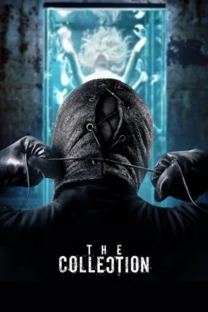 Regarder The Collection en streaming complet