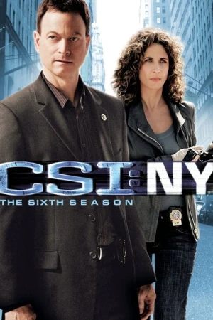 Regarder Les Experts : Manhattan - Saison 6 en streaming complet