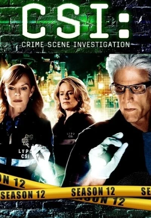 Regarder Les Experts - Saison 12 en streaming complet
