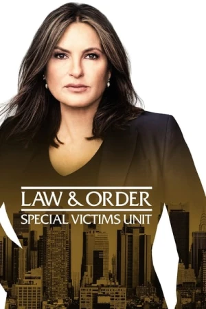  New York : Unité spéciale - Saison 23 affiche 